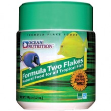 Ocean Nutrition Formula 2 Flake 34g