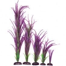Green/Purple Grass Plant  50cm