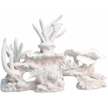 White Coral (XL)